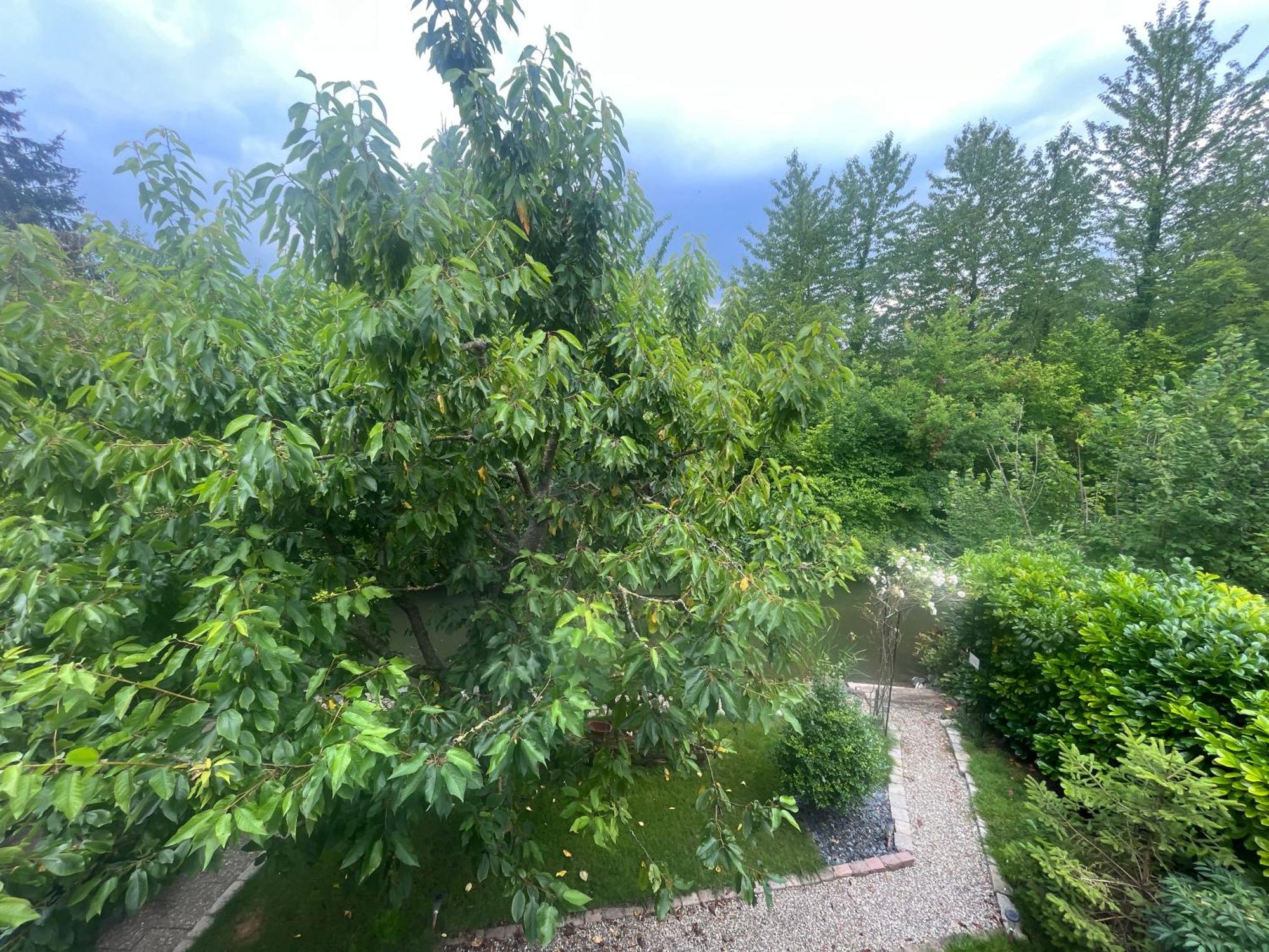 Entre Ville & Campagne Plobsheim Ngoại thất bức ảnh
